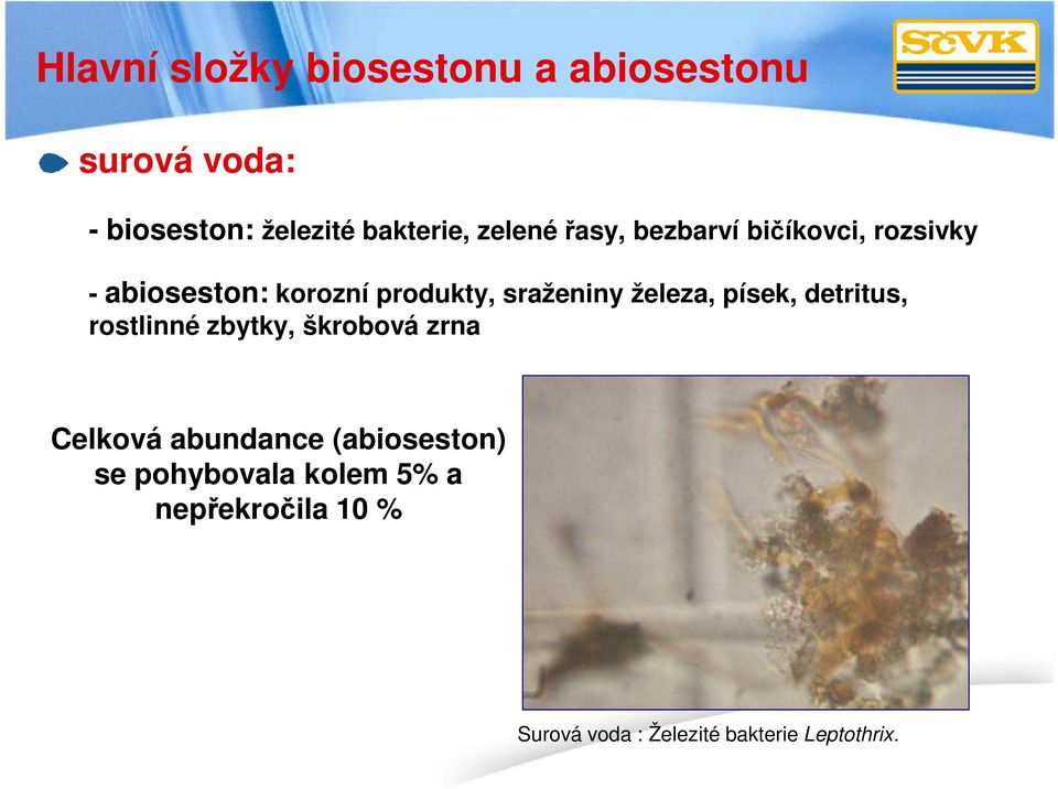 železa, písek, detritus, rostlinné zbytky, škrobová zrna Celková abundance