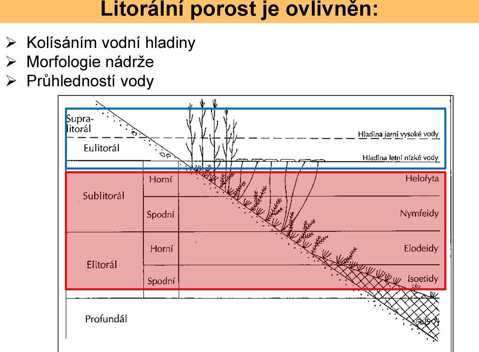 vodní hladiny