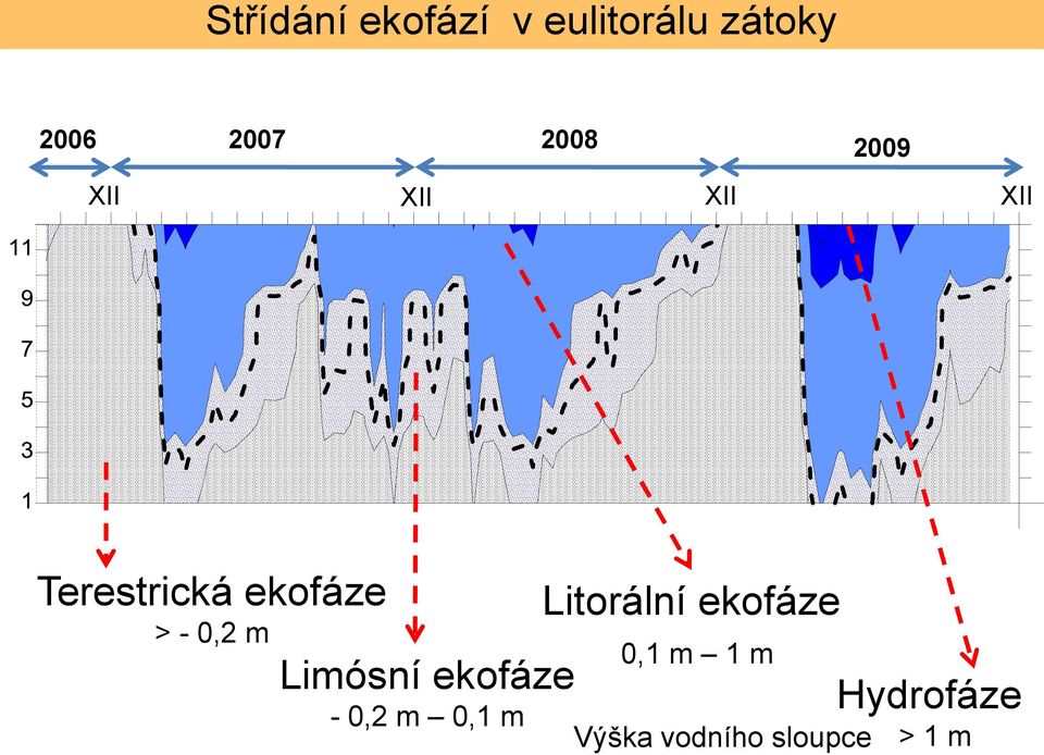 Litorální ekofáze > - 0,2 m 0,1 m 1 m Limósní