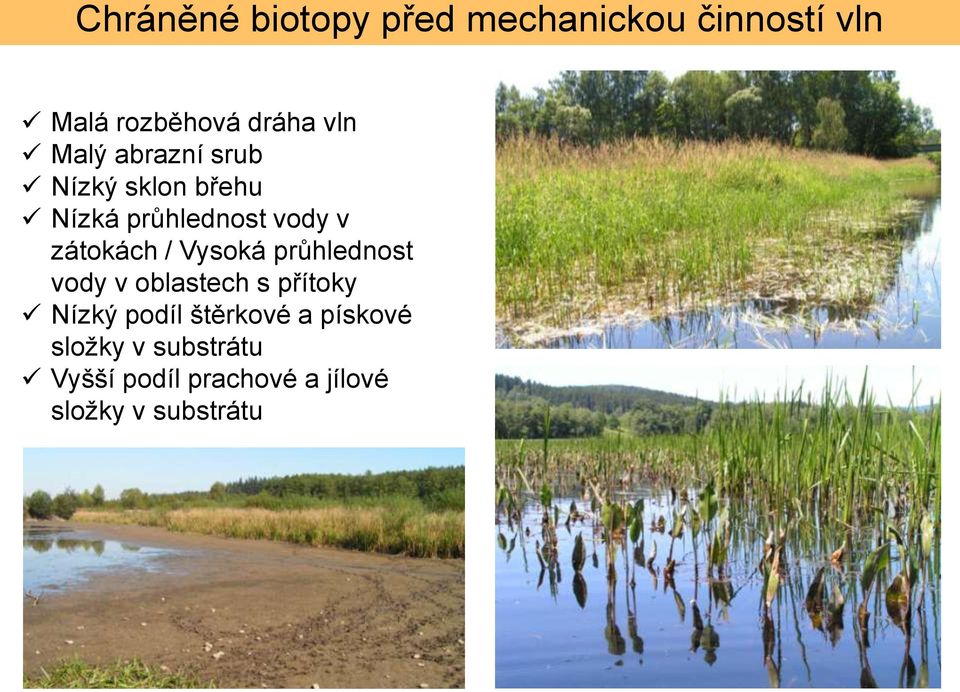 Vysoká průhlednost vody v oblastech s přítoky Nízký podíl štěrkové a