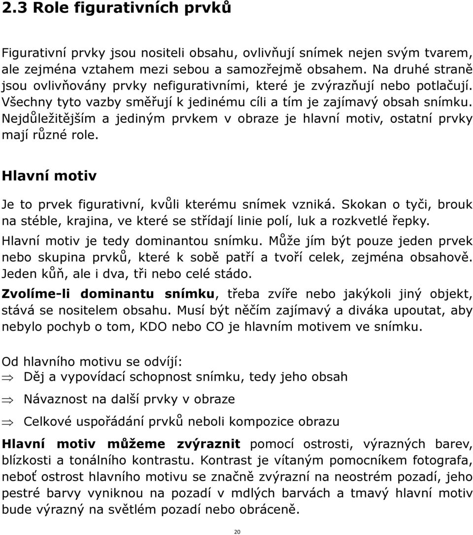 Nejdůleţitějším a jediným prvkem v obraze je hlavní motiv, ostatní prvky mají různé role. Hlavní motiv Je to prvek figurativní, kvůli kterému snímek vzniká.