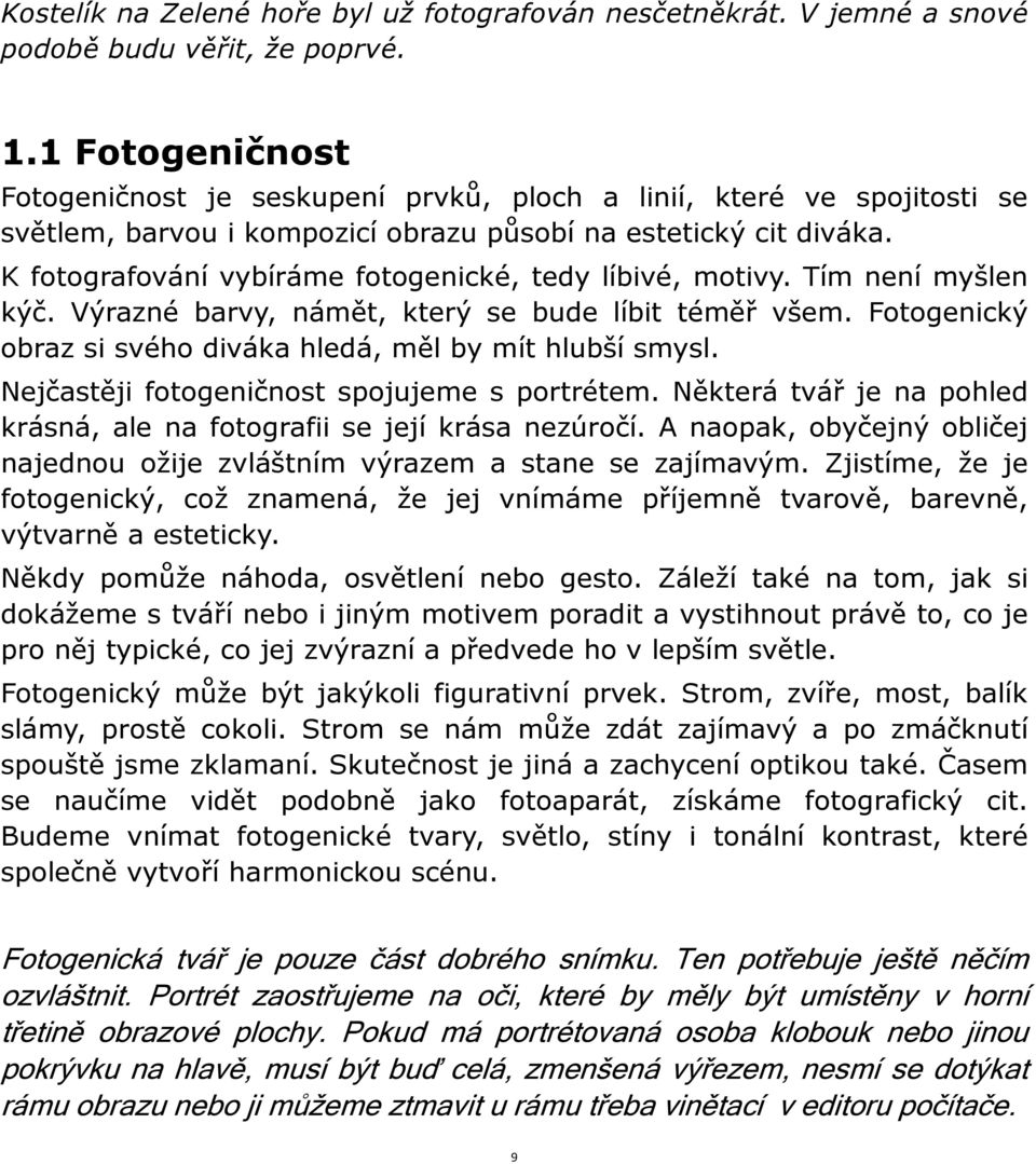 K fotografování vybíráme fotogenické, tedy líbivé, motivy. Tím není myšlen kýč. Výrazné barvy, námět, který se bude líbit téměř všem. Fotogenický obraz si svého diváka hledá, měl by mít hlubší smysl.