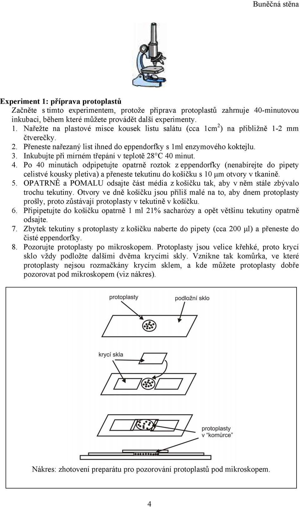 minut. 4. Po 40 minutách odpipetujte opatrně roztok z eppendorfky (nenabírejte do pipety celistvé kousky pletiva) a přeneste tekutinu do košíčku s 10 µm otvory v tkanině. 5.