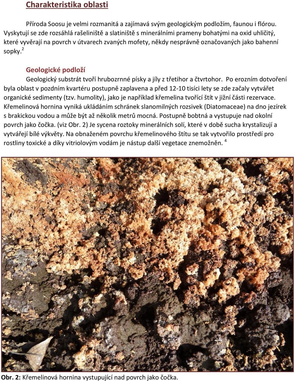 2 Geologické podloží Geologický substrát tvoří hrubozrnné písky a jíly z třetihor a čtvrtohor.