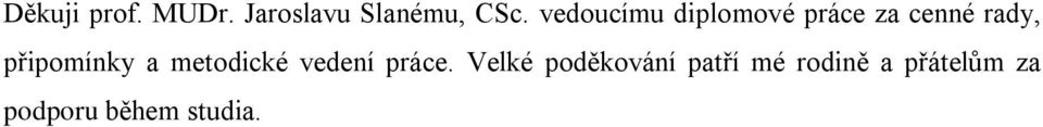 připomínky a metodické vedení práce.