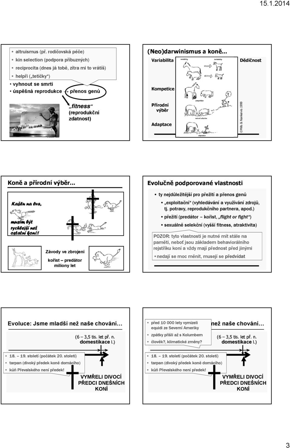 .. Variabilita Kompetice Dědičnost fitness (reprodukční zdatnost) Přírodní výběr Adaptace Mills & Nankervis 1999 Koně a přírodní výběr.