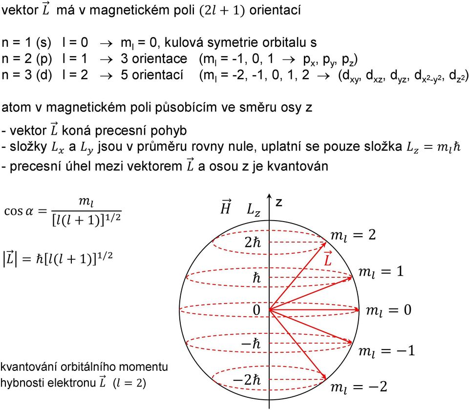 precesní pohyb - složky L x a L y jsou v průměru rovny nule, uplatní se pouze složka L z = m l ħ - precesní úhel mezi vektorem L a osou z je kvantován cos α