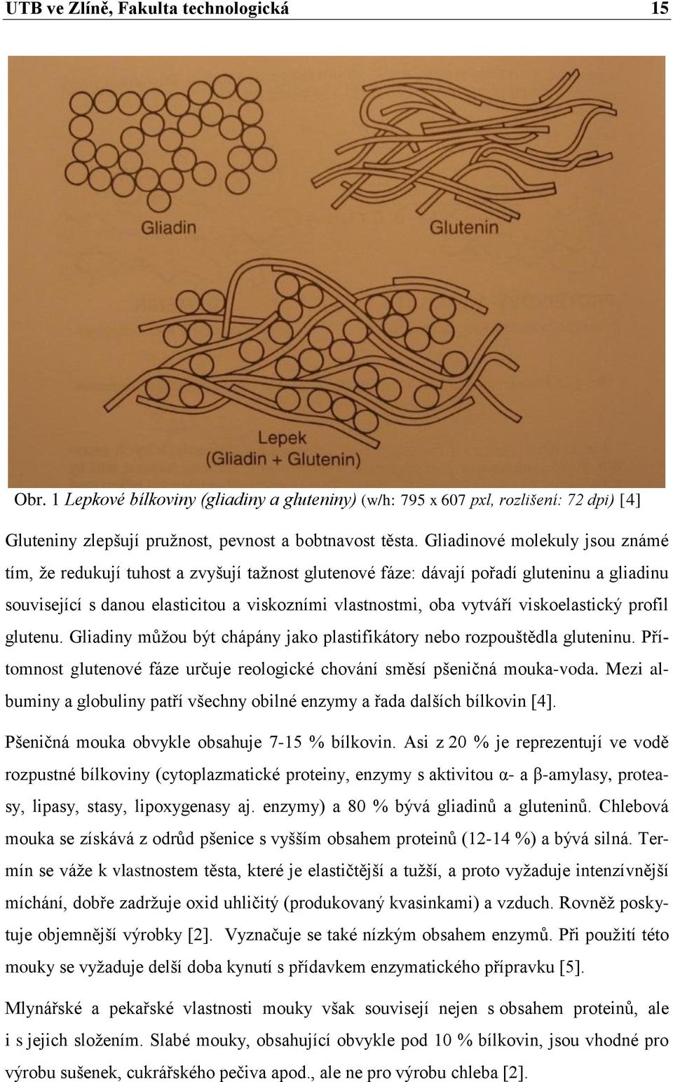 viskoelastický profil glutenu. Gliadiny můţou být chápány jako plastifikátory nebo rozpouštědla gluteninu. Přítomnost glutenové fáze určuje reologické chování směsí pšeničná mouka-voda.