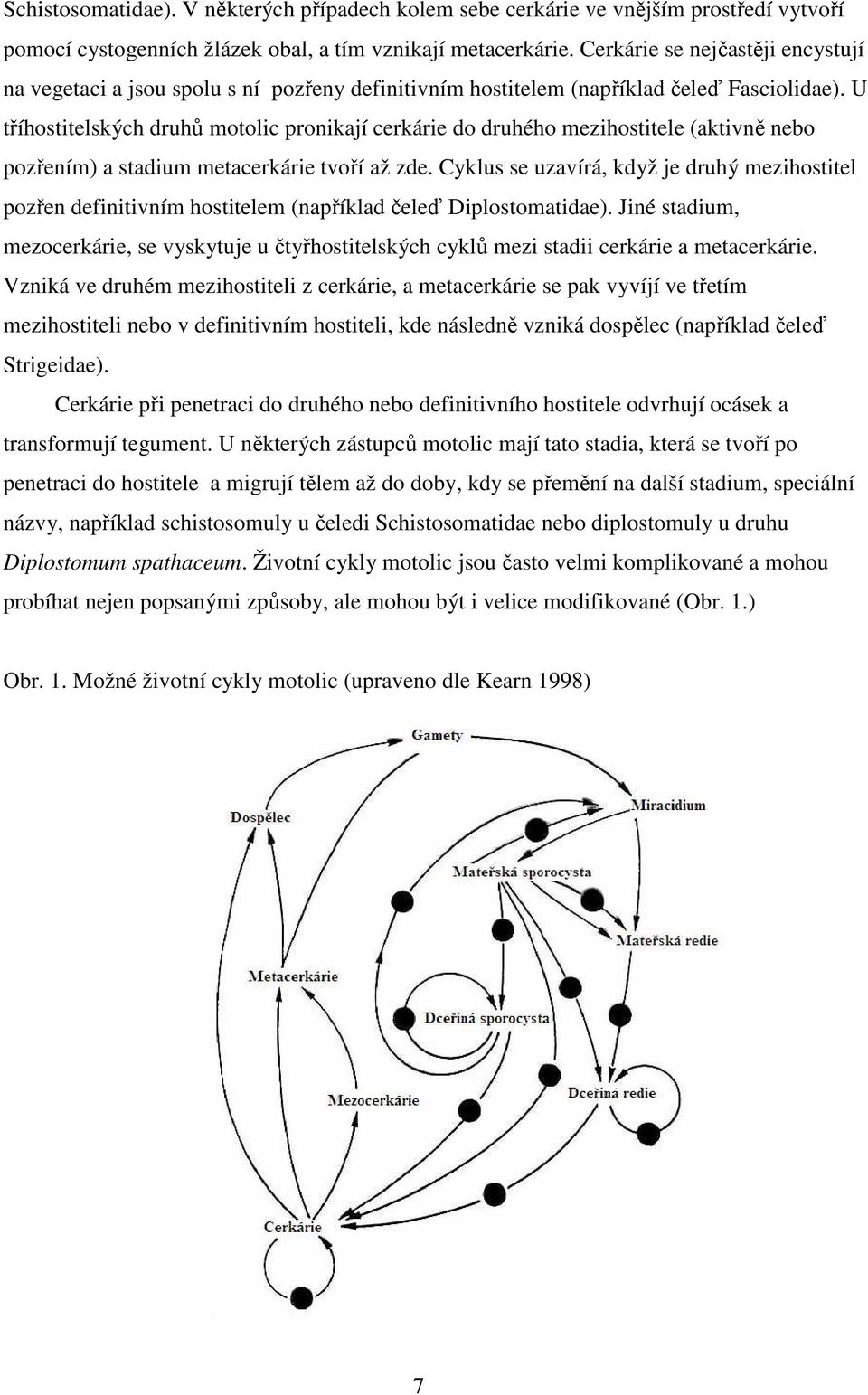 U tříhostitelských druhů motolic pronikají cerkárie do druhého mezihostitele (aktivně nebo pozřením) a stadium metacerkárie tvoří až zde.