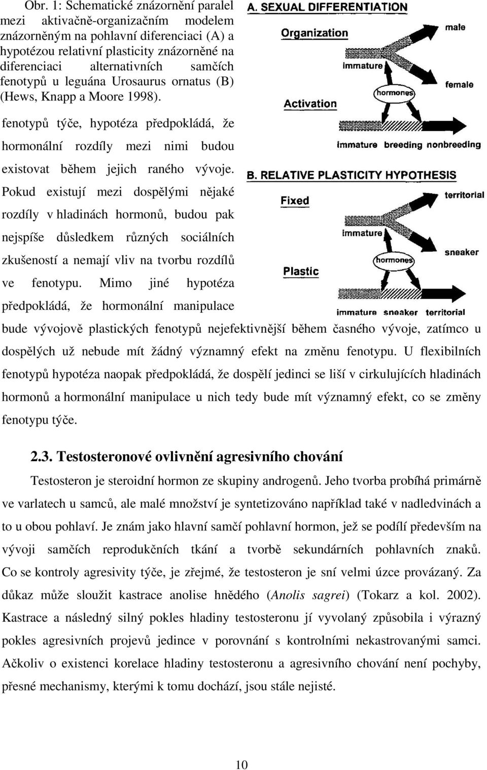 Pokud existují mezi dospělými nějaké rozdíly v hladinách hormonů, budou pak nejspíše důsledkem různých sociálních zkušeností a nemají vliv na tvorbu rozdílů ve fenotypu.