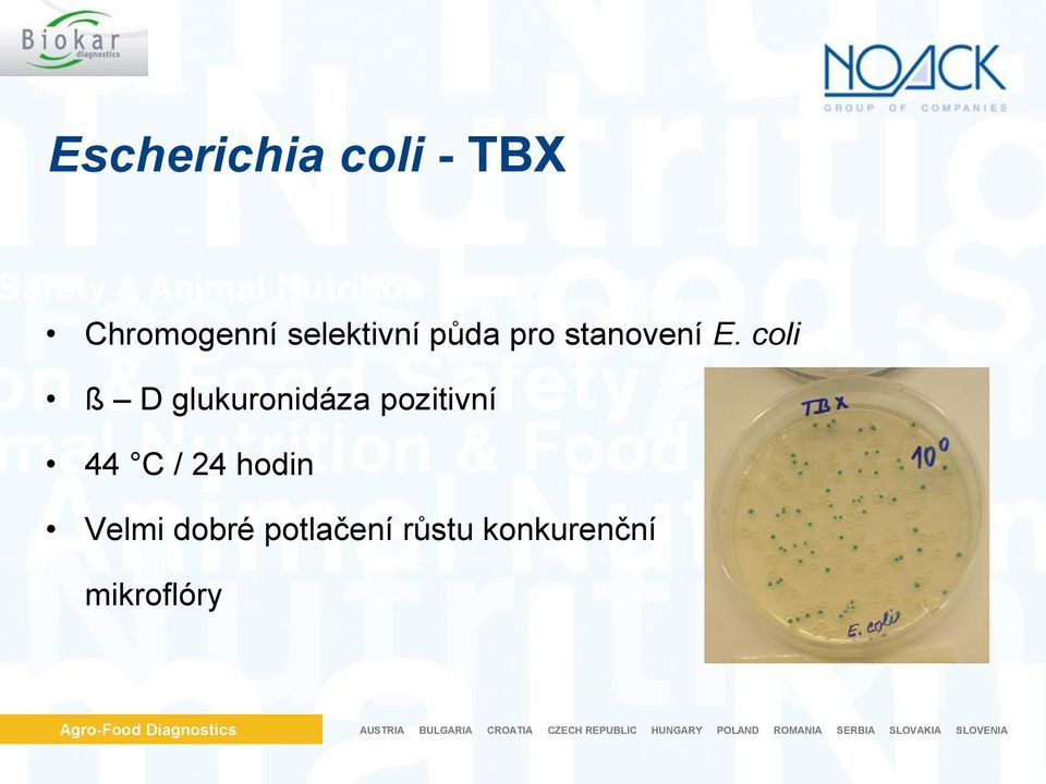 coli ß D glukuronidáza pozitivní 44 C /