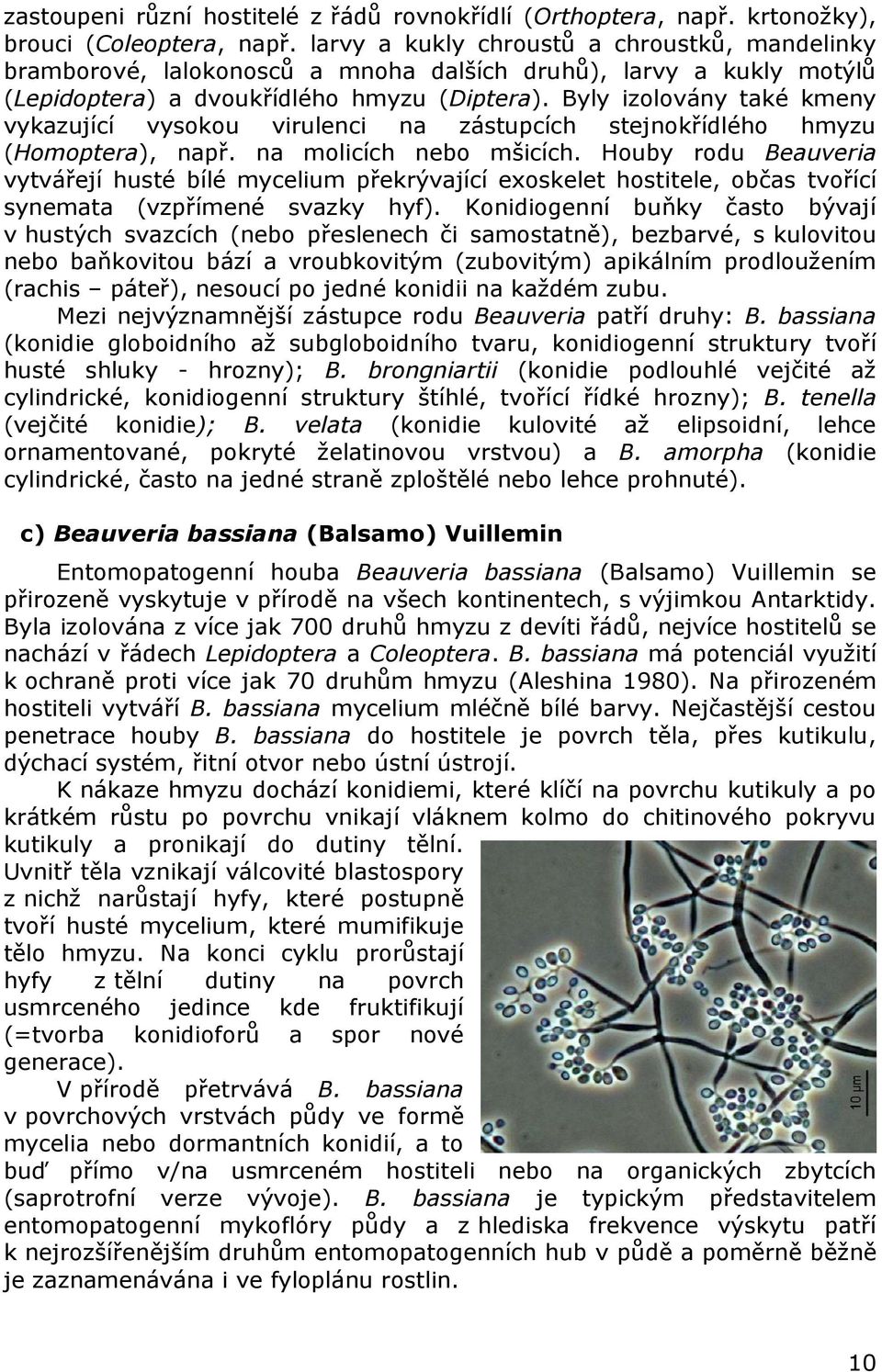 Byly izolovány také kmeny vykazující vysokou virulenci na zástupcích stejnokřídlého hmyzu (Homoptera), např. na molicích nebo mšicích.