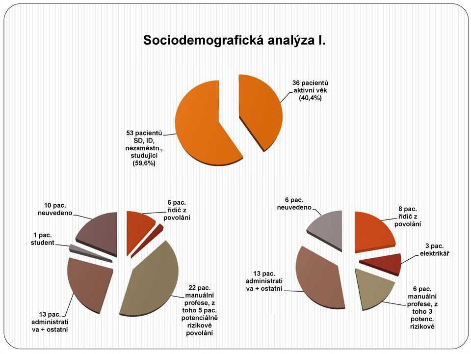 řidič z povolání 1 pac. student 3 pac. elektrikář 13 pac. administrati va + ostatní 22 pac.