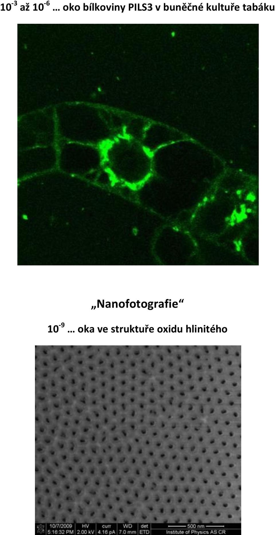 tabáku Nanofotografie 10-9