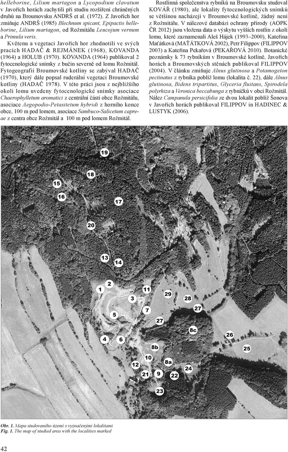 Květenu a vegetaci Javořích hor zhodnotili ve svých pracích HADAČ & REJMÁNEK (1968), KOVANDA (1964) a HOLUB (1970). KOVANDA (1964) publikoval 2 fytocenologické snímky z bučin severně od lomu Rožmitál.