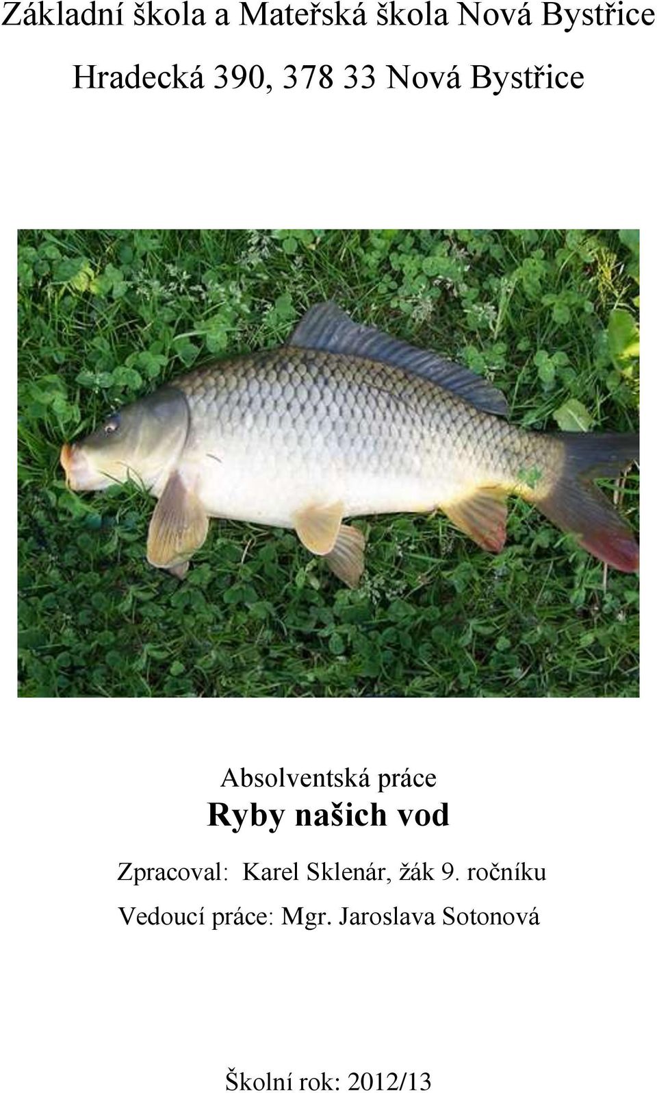 Ryby našich vod Zpracoval: Karel Sklenár, žák 9.