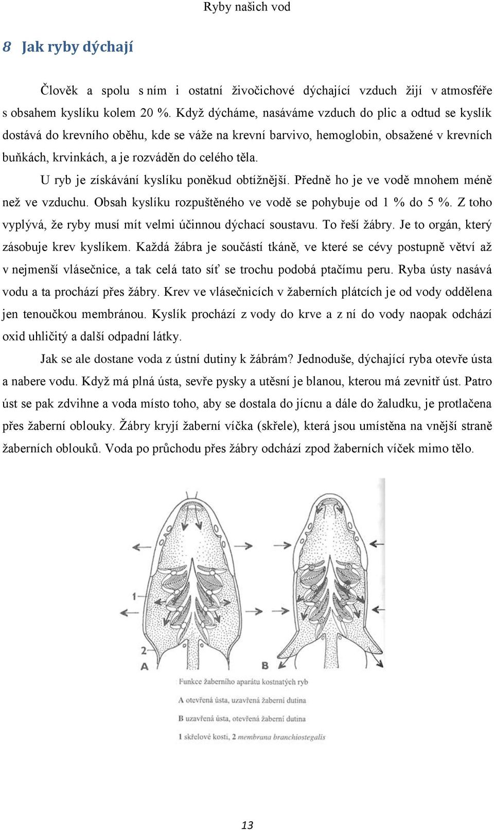 U ryb je získávání kyslíku poněkud obtížnější. Předně ho je ve vodě mnohem méně než ve vzduchu. Obsah kyslíku rozpuštěného ve vodě se pohybuje od 1 % do 5 %.