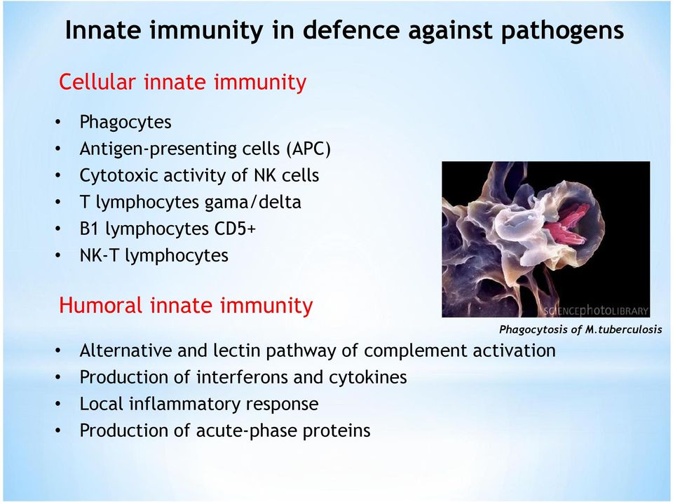 Humoral innate immunity Phagocytosis of M.