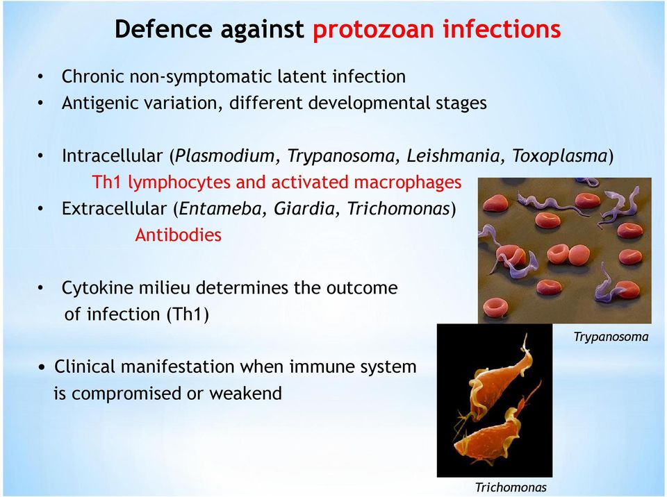 activated macrophages Extracellular (Entameba, Giardia, Trichomonas) Antibodies Cytokine milieu determines the