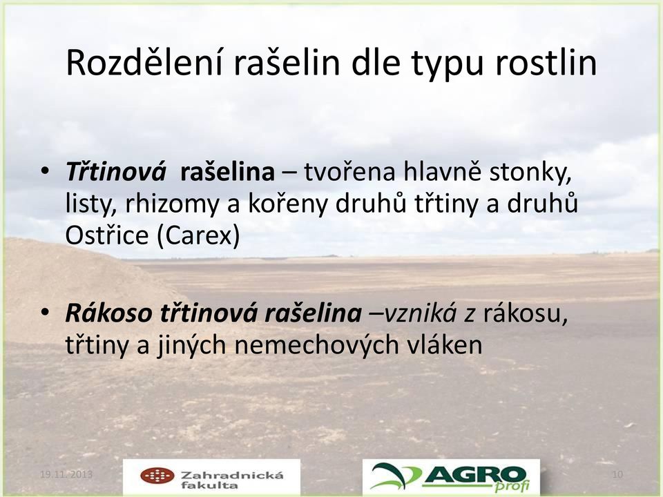 třtiny a druhů Ostřice (Carex) Rákoso třtinová