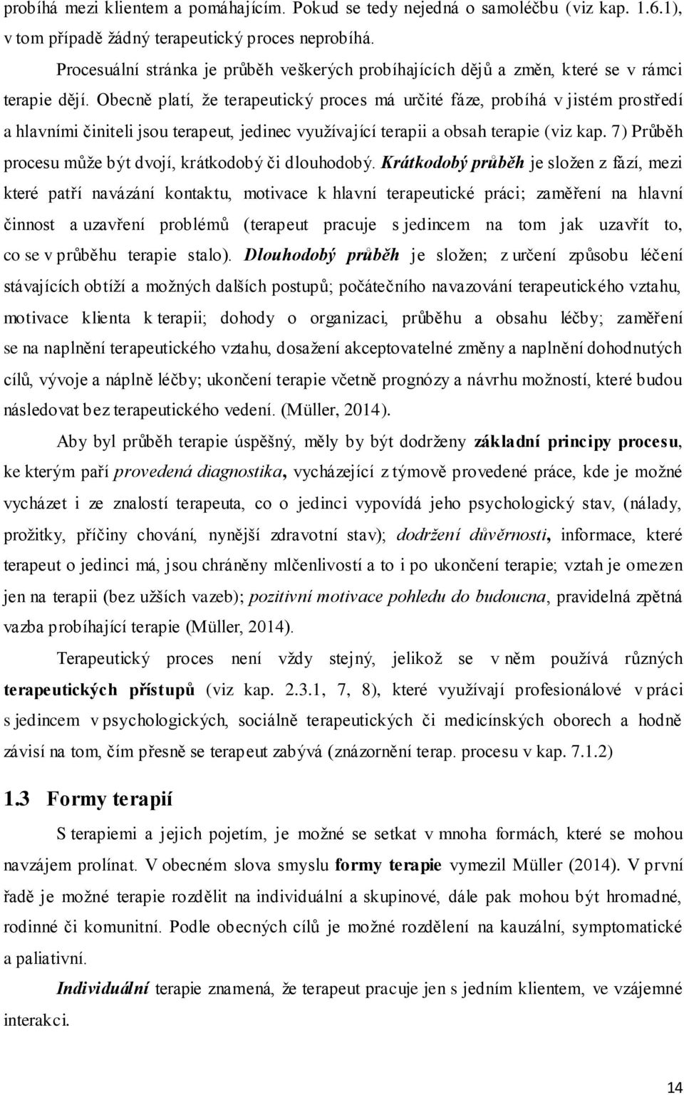 Obecně platí, že terapeutický proces má určité fáze, probíhá v jistém prostředí a hlavními činiteli jsou terapeut, jedinec využívající terapii a obsah terapie (viz kap.