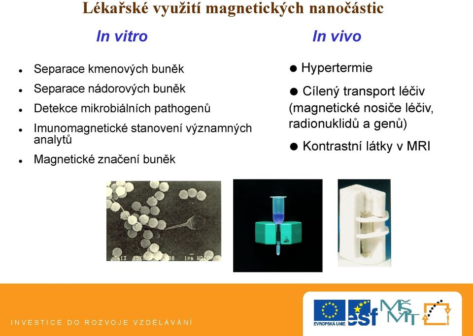 stanovení významných analytů Magnetické značení buněk In vivo Hypertermie