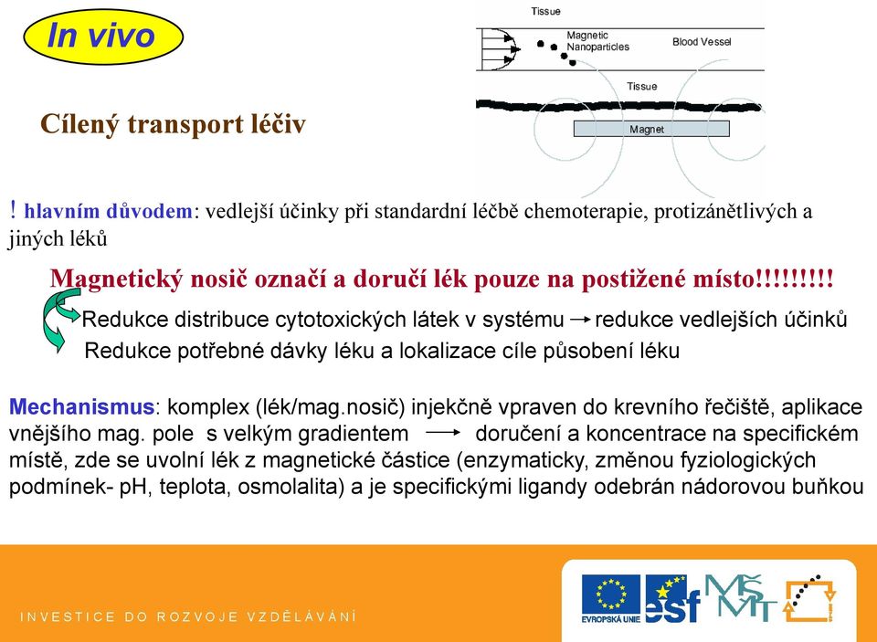 !!!!!!!! Redukce distribuce cytotoxických látek v systému redukce vedlejších účinků Redukce potřebné dávky léku a lokalizace cíle působení léku Mechanismus: komplex (lék/mag.