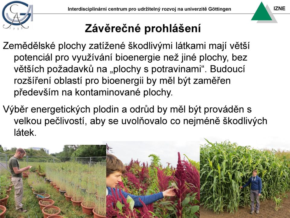 Budoucí rozšíření oblastí pro bioenergii by měl být zaměřen především na kontaminované plochy.