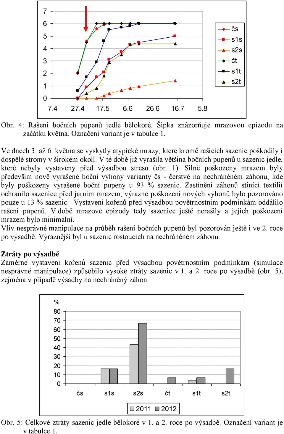 V té době již vyrašila většina bočních pupenů u sazenic jedle, které nebyly vystaveny před výsadbou stresu (obr. 1).