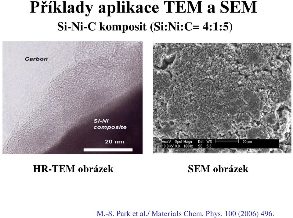 obrázek SEM obrázek M.-S. Park et al.