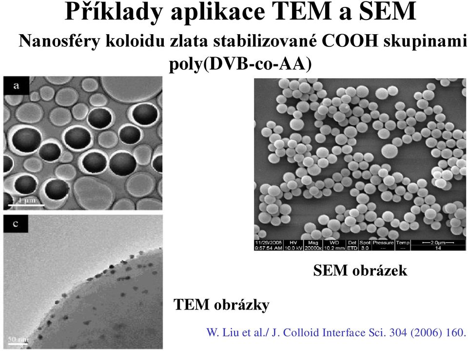 poly(dvb-co-aa) SEM obrázek TEM obrázky W.