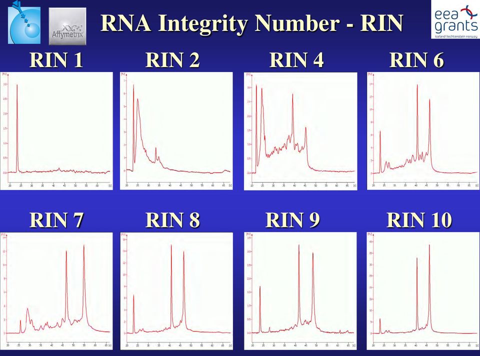 RIN RIN 2 RIN 4