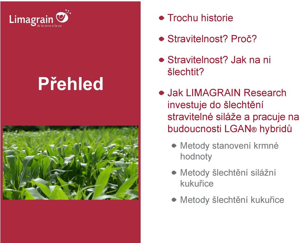 Jak LIMAGRAIN Research investuje do šlechtění stravitelné siláže a