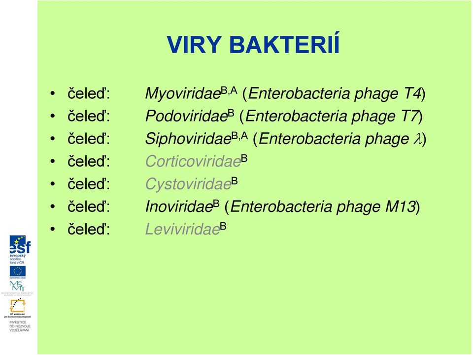 B,A (Enterobacteria phage ) čeleď: Corticoviridae B čeleď: