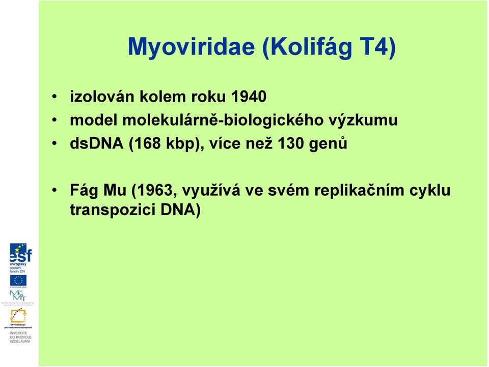 dsdna (168 kbp), více než 130 genů Fág Mu