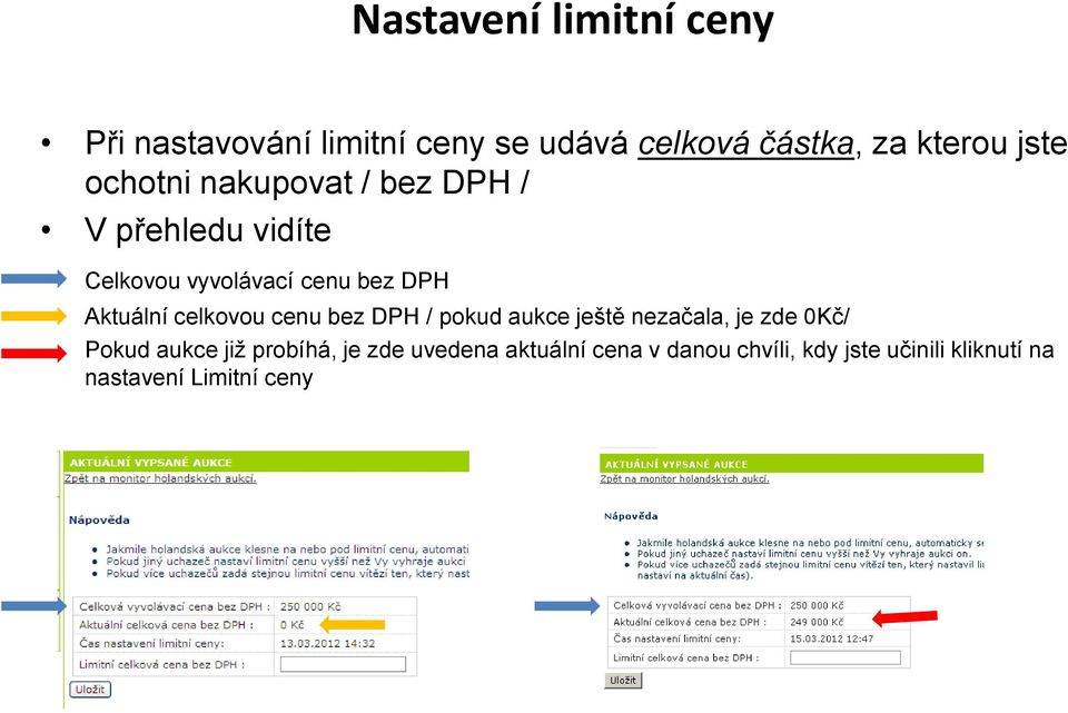 celkovou cenu bez DPH / pokud aukce ještě nezačala, je zde 0Kč/ Pokud aukce již probíhá, je