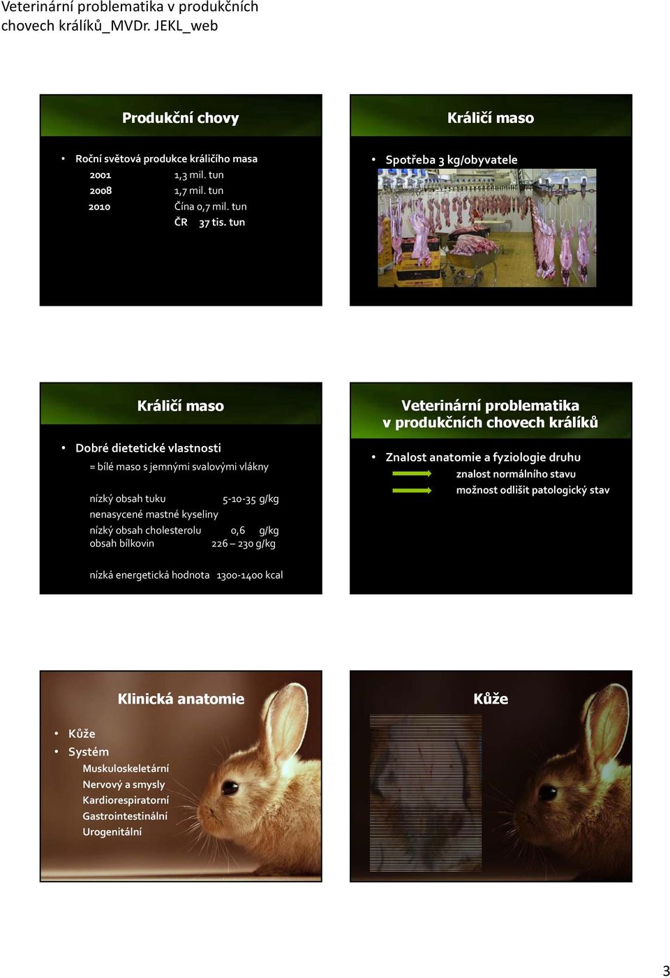 nízký obsah cholesterolu 0,6 g/kg obsah bílkovin 226 230 g/kg Veterinární problematika v produkčních chovech králíků Znalost anatomie a fyziologie druhu znalost