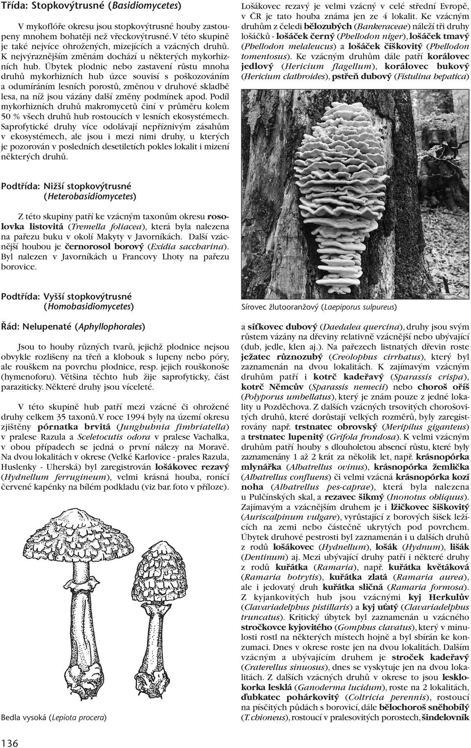 Úbytek plodnic nebo zastavení rûstu mnoha druhû mykorhizních hub úzce souvisí s po kozováním a odumíráním lesních porostû, zmûnou v druhové skladbû lesa, na níï jsou vázány dal í zmûny podmínek apod.