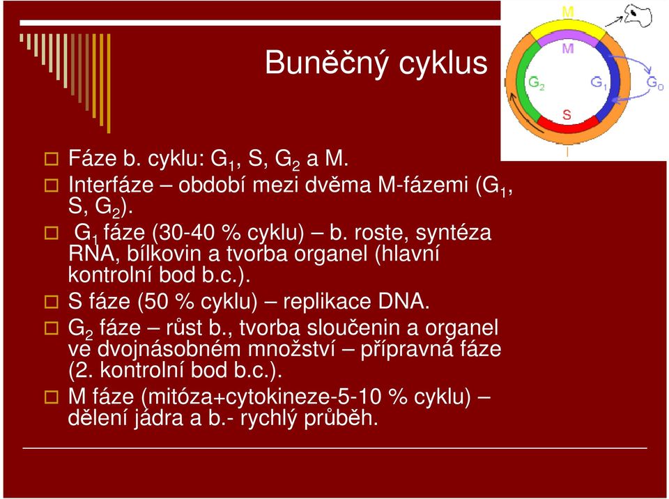 G 2 fáze růst b., tvorba sloučenin a organel ve dvojnásobném množství přípravná fáze (2. kontrolní bod b.