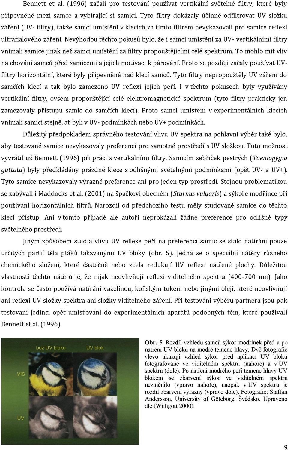 Nevýhodou těchto pokusů bylo, že i samci umístění za UV- vertikálními filtry vnímali samice jinak než samci umístění za filtry propouštějícími celé spektrum.