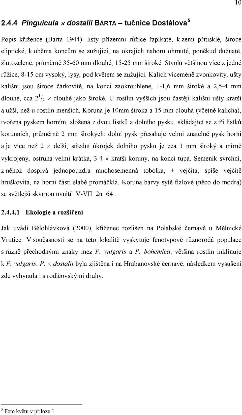 ohrnuté, poněkud dužnaté, žlutozelené, průměrně 35-60 mm dlouhé, 15-25 mm široké. Stvolů většinou více z jedné růžice, 8-15 cm vysoký, lysý, pod květem se zužující.