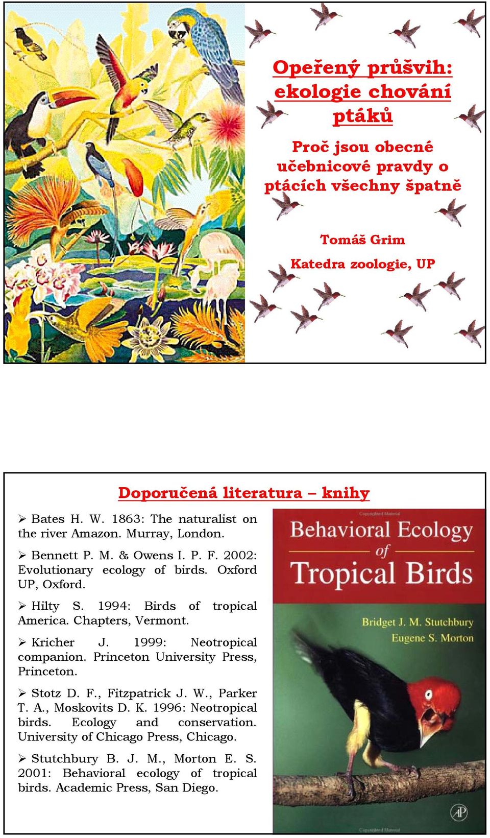 1994: Birds of tropical America. Chapters, Vermont. Kricher J. 1999: Neotropical companion. Princeton University Press, Princeton. Stotz D. F., Fitzpatrick J. W., Parker T. A., Moskovits D.