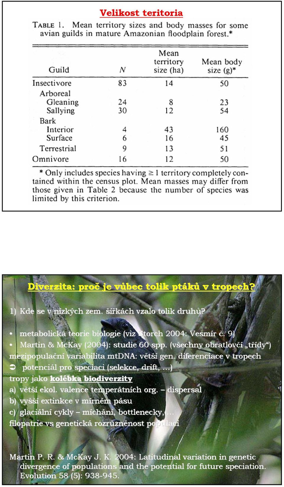 diferenciace v tropech potenciál l pro speciaci (selekce, drift, ) tropy jako kolébka biodiverzity a) větší ekol. valence temperátn tních org.