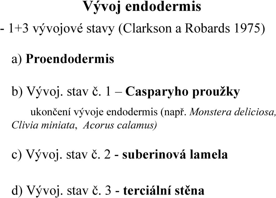1 Casparyho proužky ukončení vývoje endodermis (např.