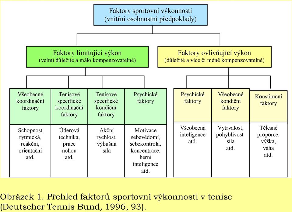 Konstituční faktory Schopnost rytmická, reakční, orientační atd. Úderová technika, práce nohou atd.