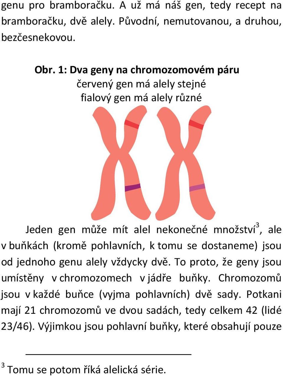 pohlavních, k tomu se dostaneme) jsou od jednoho genu alely vždycky dvě. To proto, že geny jsou umístěny v chromozomech v jádře buňky.