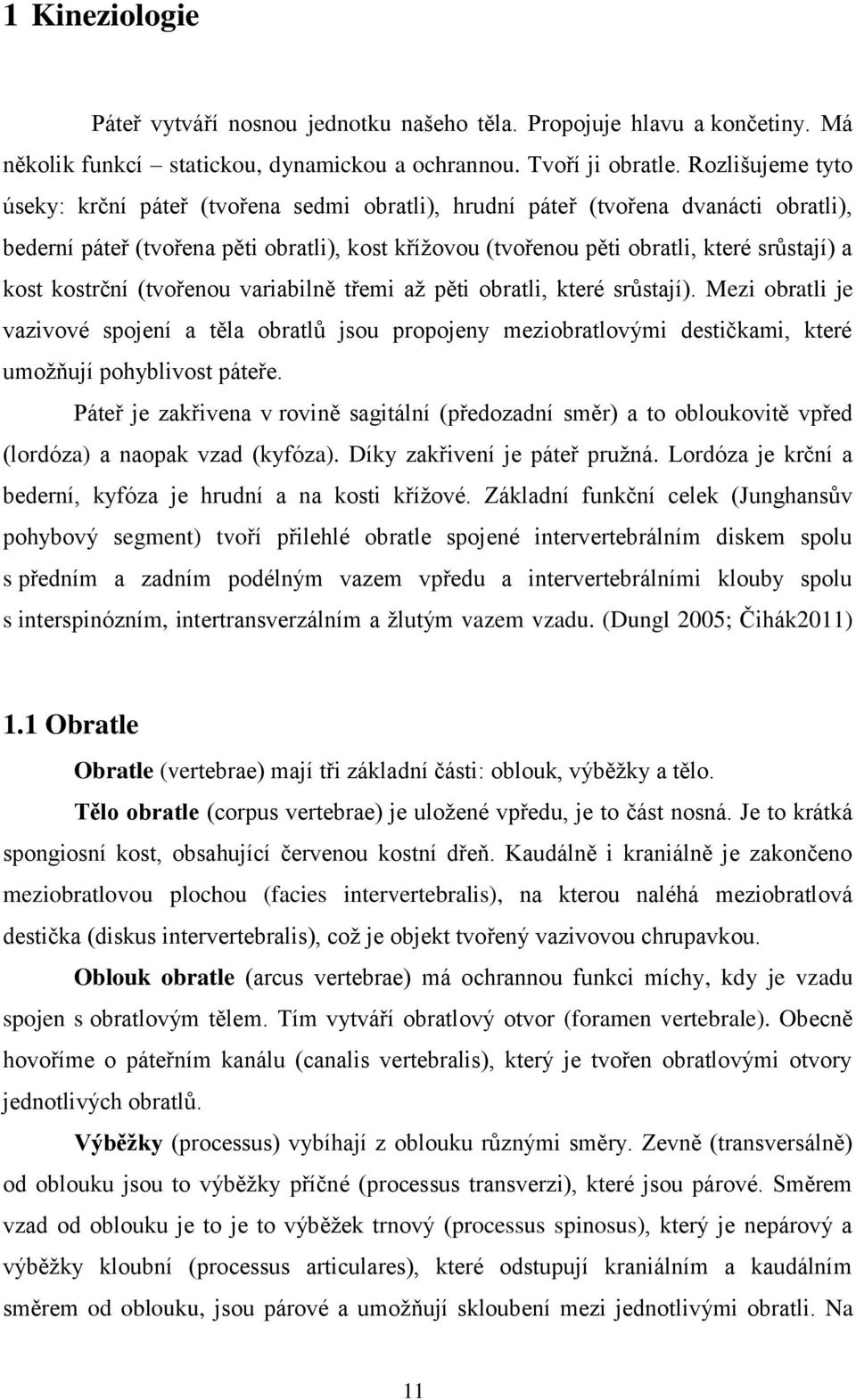 kost kostrční (tvořenou variabilně třemi až pěti obratli, které srůstají). Mezi obratli je vazivové spojení a těla obratlů jsou propojeny meziobratlovými destičkami, které umožňují pohyblivost páteře.