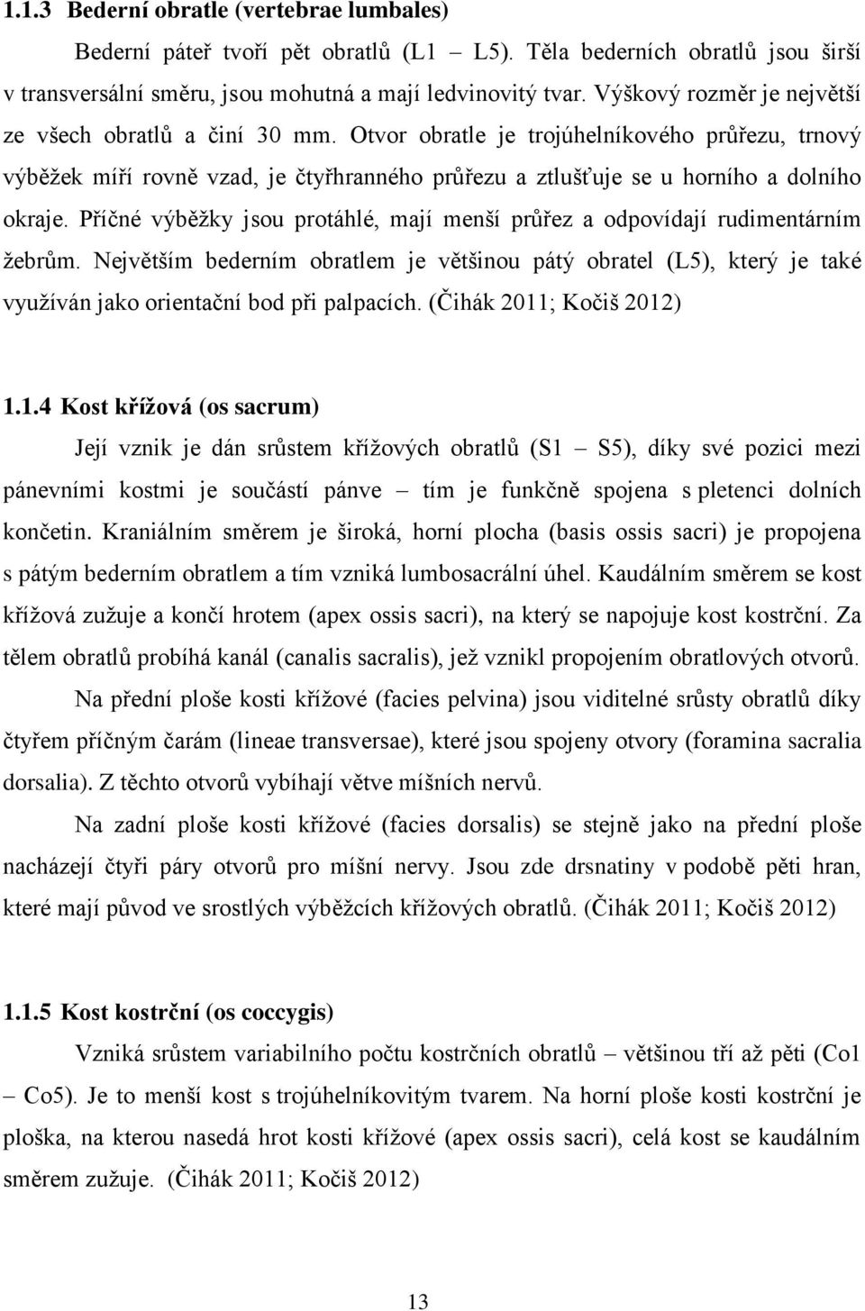 Příčné výběžky jsou protáhlé, mají menší průřez a odpovídají rudimentárním žebrům. Největším bederním obratlem je většinou pátý obratel (L5), který je také využíván jako orientační bod při palpacích.