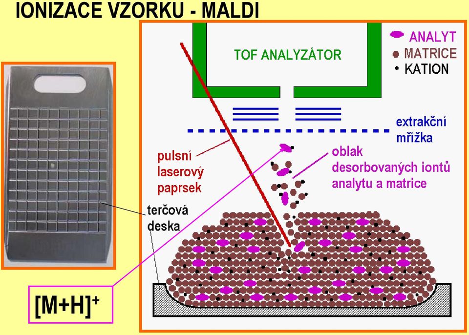 MALDI