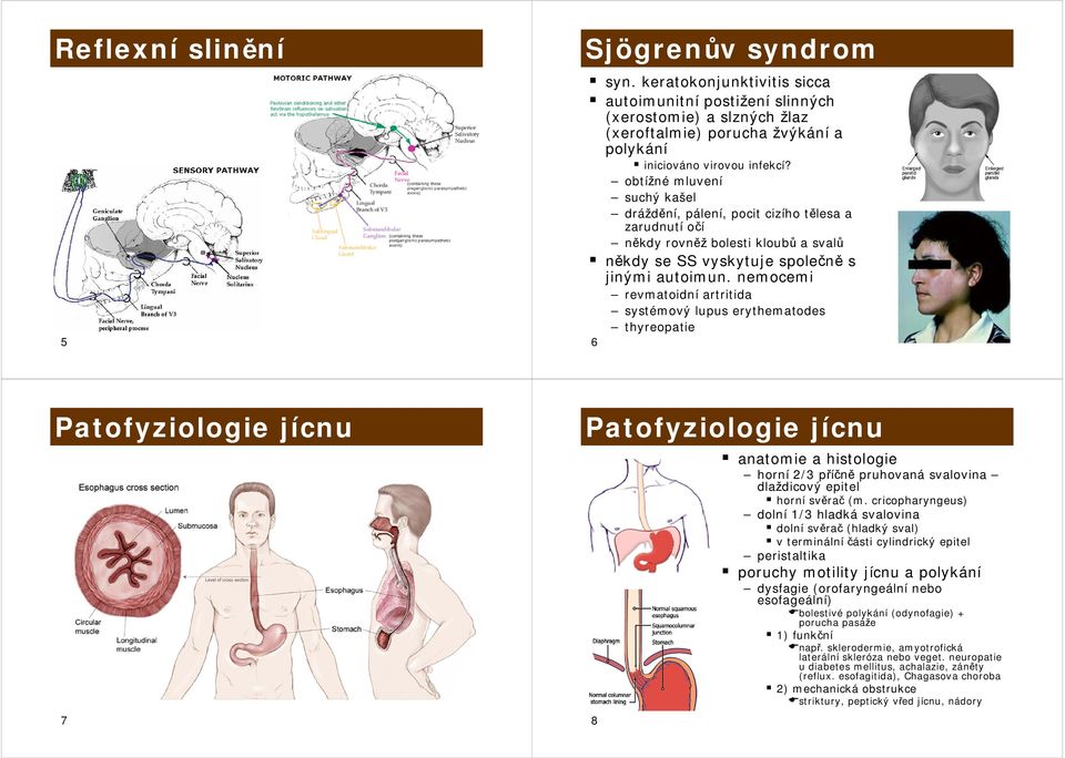 nemocemi revmatoidní artritida systémový lupus erythematodes 6 thyreopatie Patofyziologie jícnu 7 Patofyziologie jícnu anatomie a histologie horní 2/3 příčně pruhovaná svalovina dlaždicový epitel